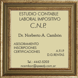 Estudio Contable Laboral Impositivo CNP Dr. Norberto A. Cambn  - Profesionales Bonzi Web - Aldo Bonzi