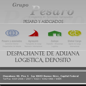 Pesaro y Asociados - Servicios Bonzi Web - Aldo Bonzi