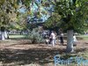 jardin_cami_ (072)