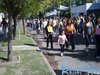 jardin_cami_ (133)