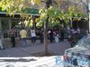 jardin_cami_ (148)